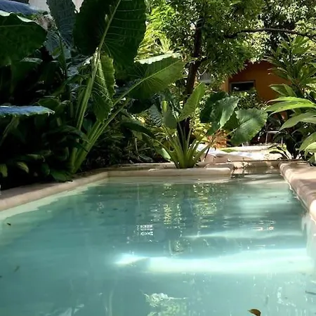 Hermosa Casa Antigua Con Piscina Tropical